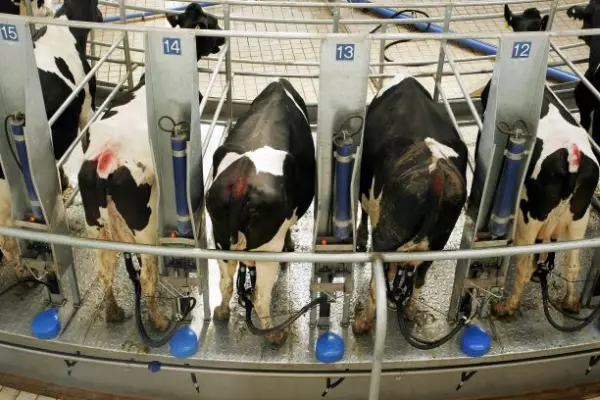 Fonterra completes sale of wholly-owned China farm hubs