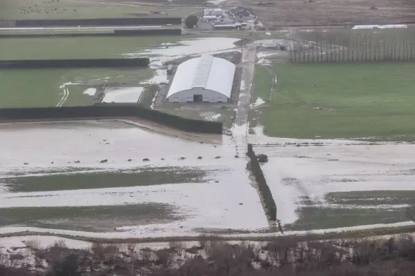 NZ shares climb as dairy stocks float amid flooding