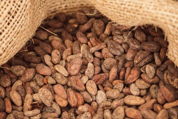 Two NZ companies weather the cocoa storm – for now