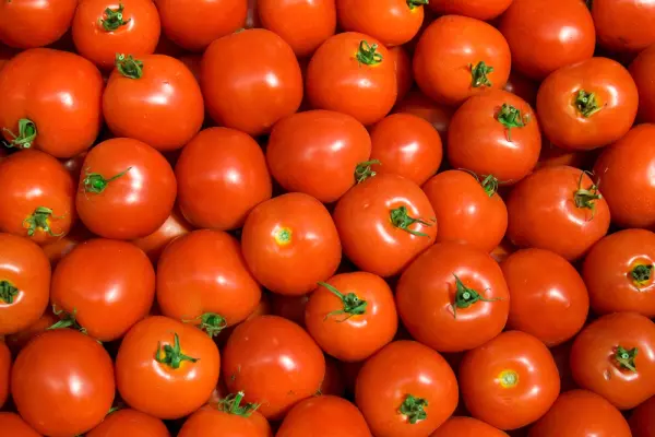 Food price increases at decade-high levels