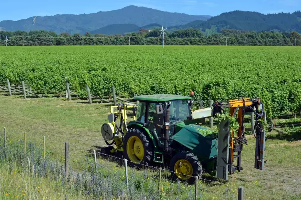 Contract winery to buy Sacred Hill’s Marlborough business