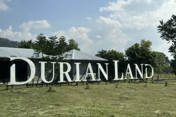 What’s that smell? It’s Durian Land