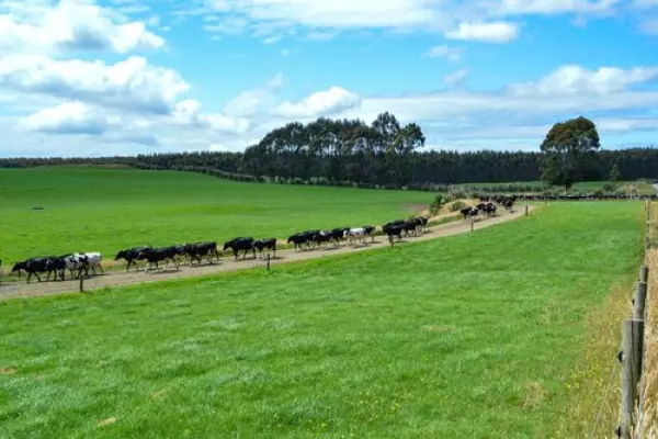 Allied to buy out NZ Rural Land manager