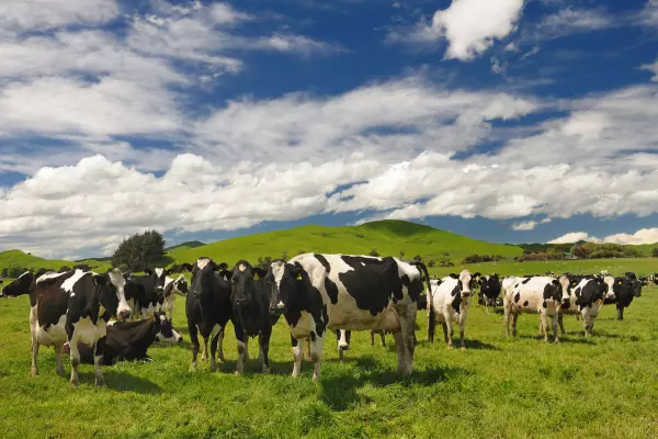 NZGIF urged to focus on cutting agriculture emissions