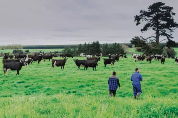 Fonterra farmers to wait till after AGM for council pitch