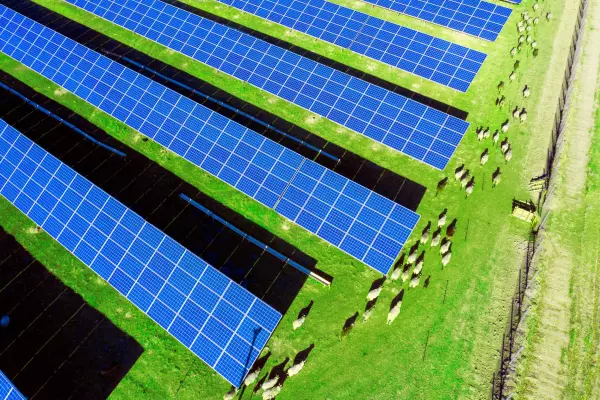 Big jump in 'committed' renewable electricity projects