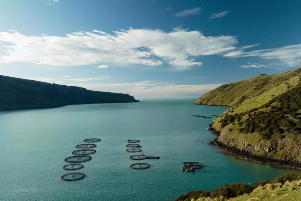 Akaroa King Salmon boss steps down after 23 years