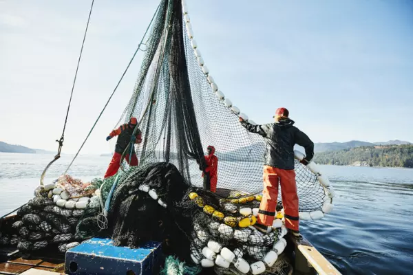 Politicians agree fishing industry has a problem with social licence