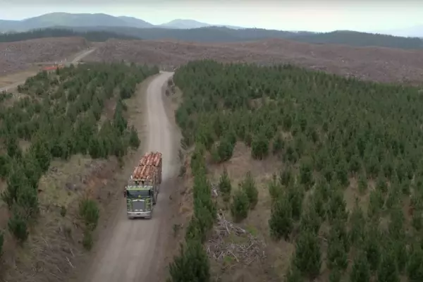 MPs move to prevent forestry price controls