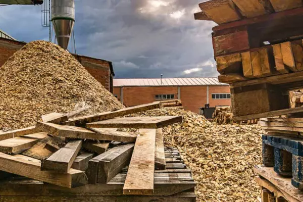 Forestry study urges focus on biofuel, steelmaking alternatives