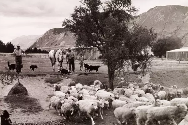 Busting the housing bubble: a lesson from NZ history