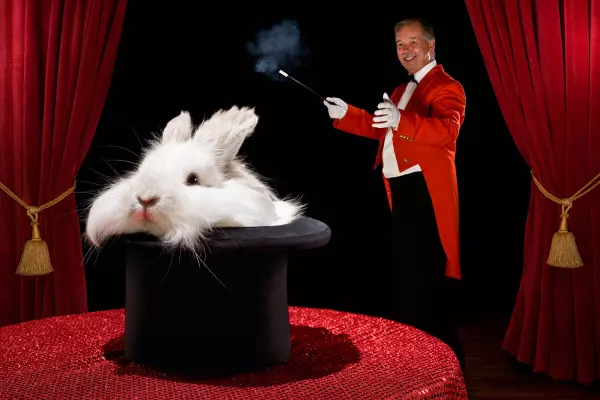 The Government's Bunny Budget