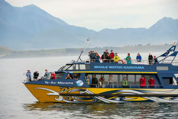 New report finds massive Māori business under-count