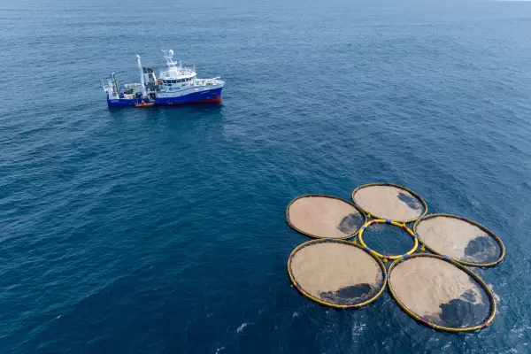 Israeli firm Gigablue aims to cut CO2 and create jobs in NZ