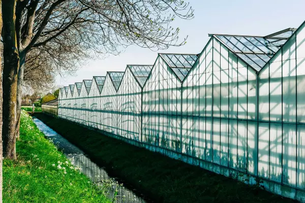 Dutch carbon tech startup Skytree plans to put down roots in NZ