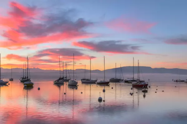 Diversification has never been more important, says award-winning fund manager