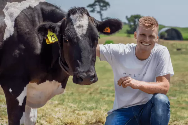 Cow collar company Halter raises $32m as farmers wait