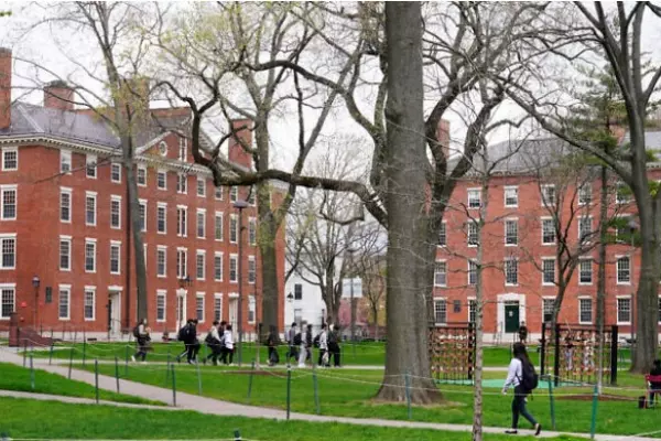 Ivy League colleges like Harvard are big business at its worst