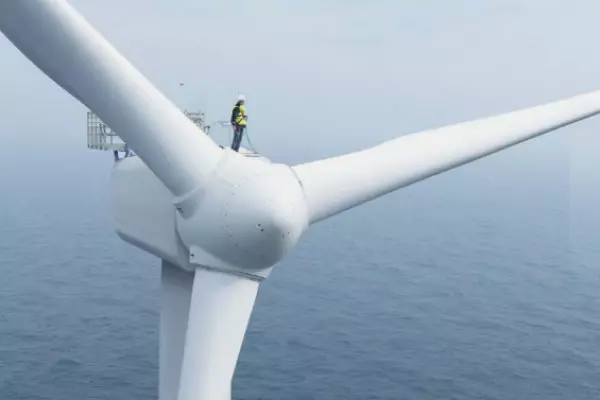 Offshore wind on the rise in NZ say promoters