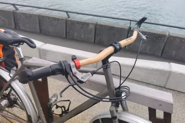 Review: Passchier bamboo handlebars – flex appeal and cycling comfort