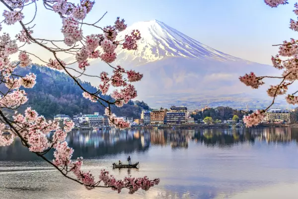 Japan’s exports struggle under weight of tariffs