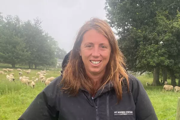 Kate Acland elected chair of Beef and Lamb NZ