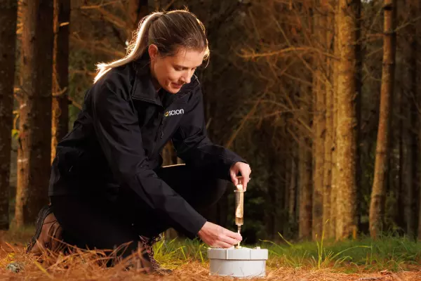 Scion researchers will test if pine forest soils are helping reducing NZ’s methane levels