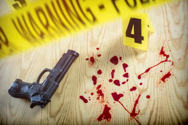 Words every killer should know: 'I feared for my life, officer'