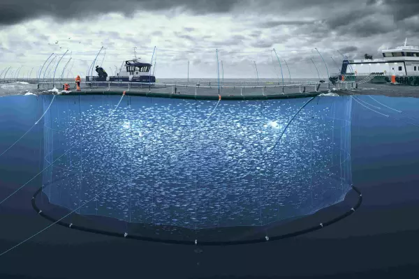 US consumers ignore tariffs on King Salmon
