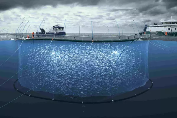 Will King Salmon build its deepsea farm?