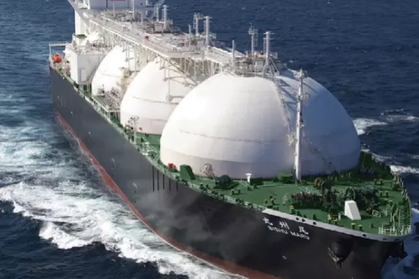 LNG imports bespoke option possible