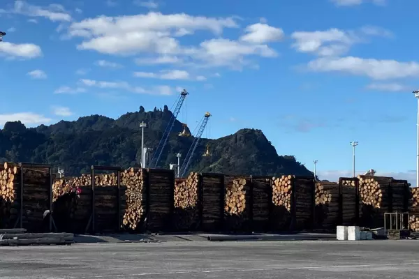 Logging off: timber export prices prune back further