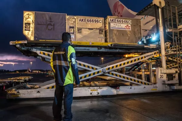 Reality bites for Mainfreight as first quarter pre-tax profits down 43%