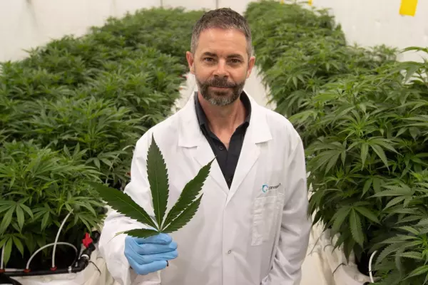 Cannasouth looks to ASX listing, access to Aussie money