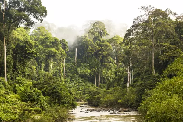 Closing NZ's Paris Agreement 'emissions gap'