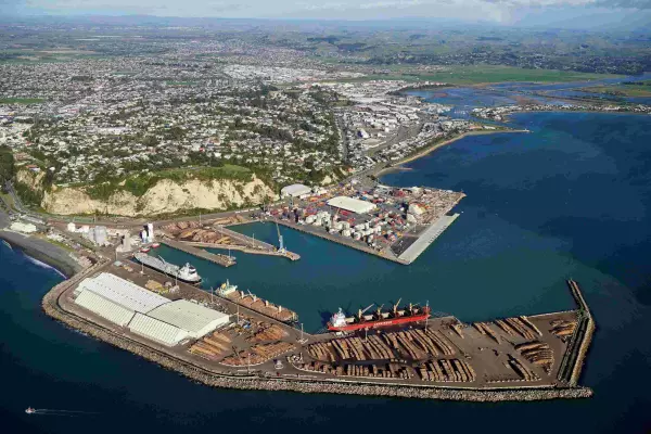 Logs and cruise bolster earnings for Napier Port