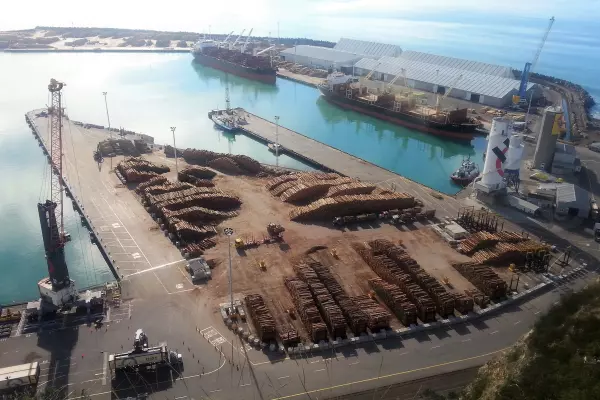 Napier Port guidance up on solid fruit and fibre exports