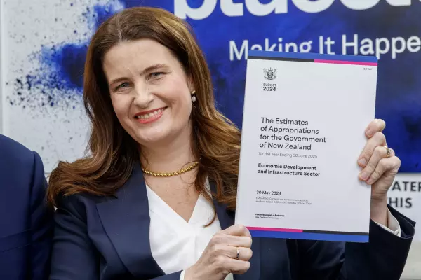 Budget 2025:  Banking on a boost from investment