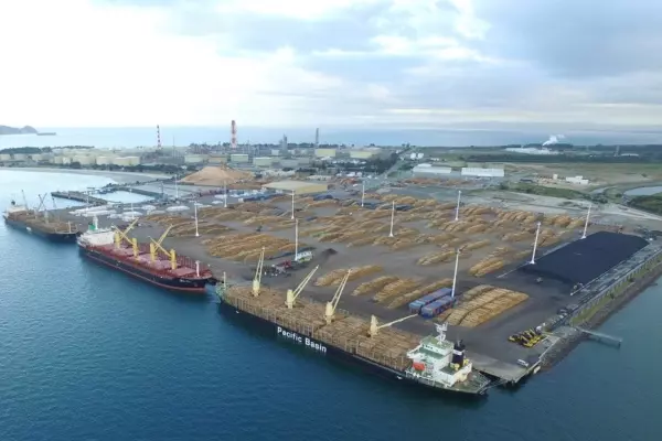 Salt throws its support behind Marsden Maritime Holdings takeover