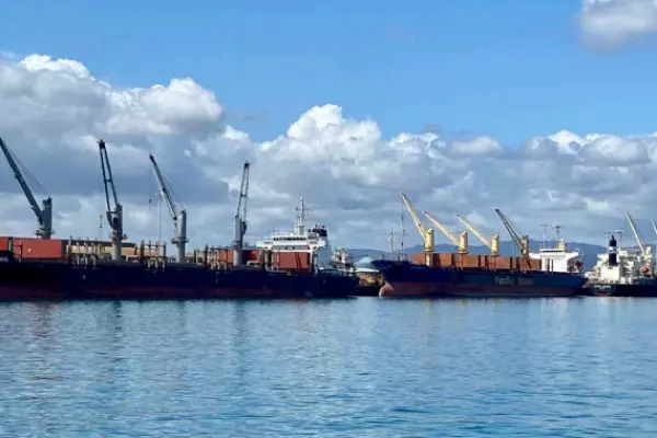 Port of Tauranga 1st-qtr cargo down 5%
