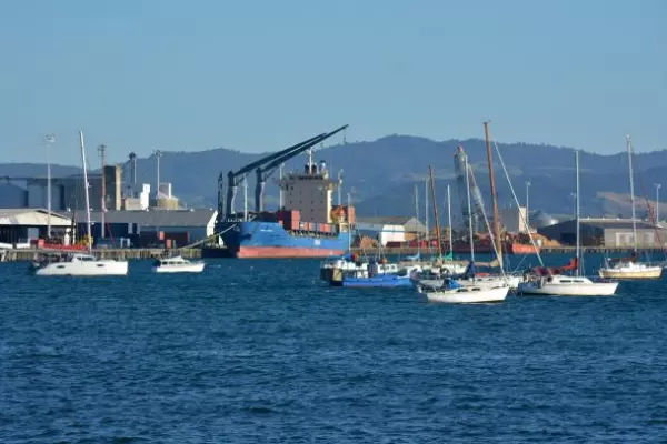 Robust update from Tauranga Port perks up NZX