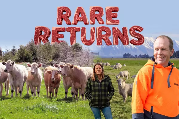 Rare Returns: the state of NZ’s red meat sector
