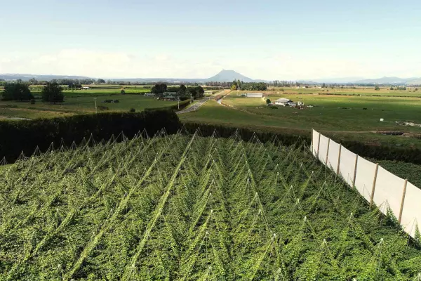 MyFarm KiwiFruit Fund launches $35 million capital raise