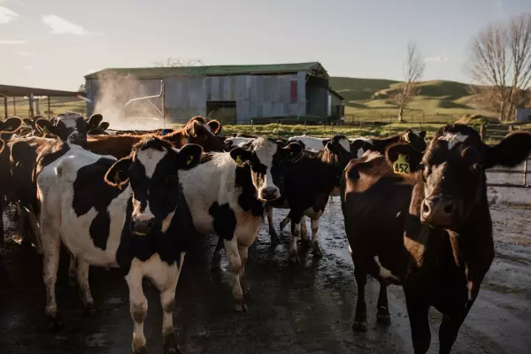 Ruminant Biotech closes $17 million series A raise