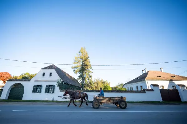 Transylvania's last Saxons revive its stunning ghost villages