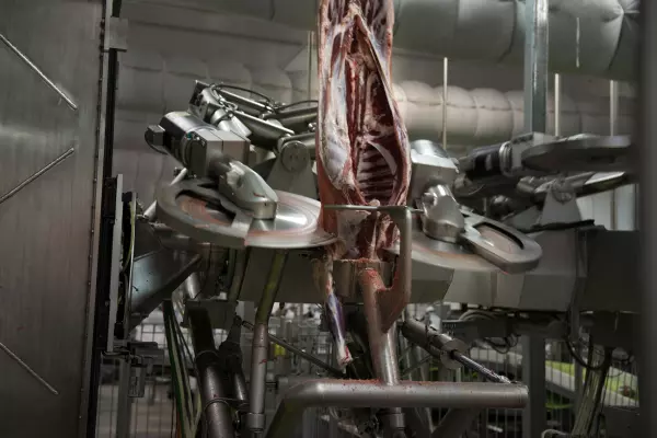 Scott Tech lands $18m in meat processing deals