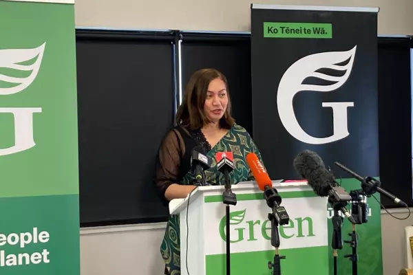 Green party: returning land to Māori is the right thing to do