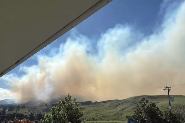 Massive Pōrangahau fire largely contained after spreading to pines planned for Ikea furniture