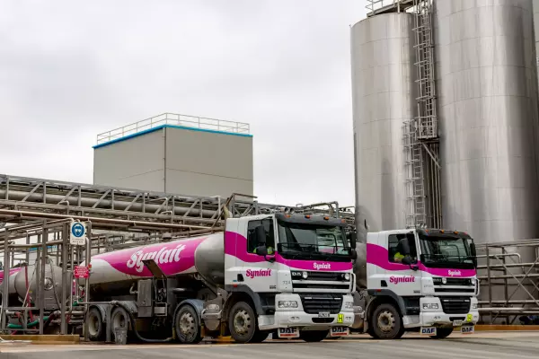 Synlait Milk looking to slash headcount by 15%