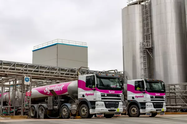 Synlait reports 76% drop in 1H net profit